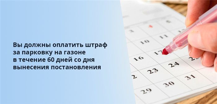 Кто имеет право штрафовать за парковку на газоне?