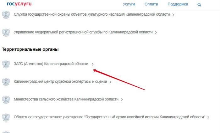 Кому можно получить свидетельство о рождении через госуслуги