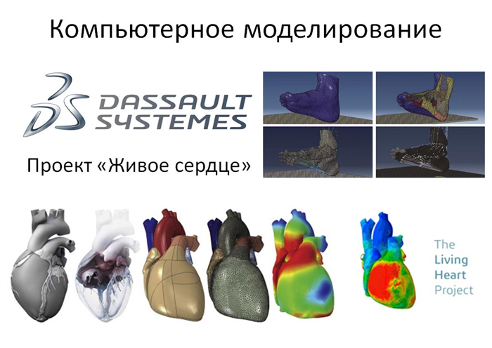 Социально-образовательный проект «Жизнь без боли»