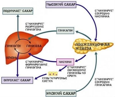 Немного о 2 типе сахарного диабета