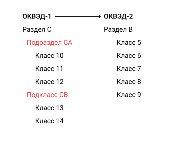 Главное о кодах ОКВЭД в 2024 году