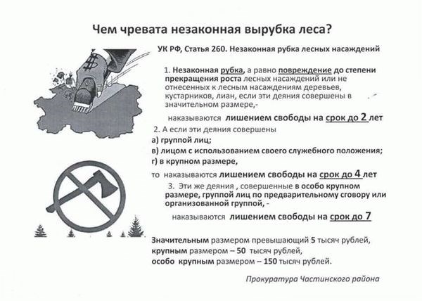 Ранее – о наказании за незаконные рубки