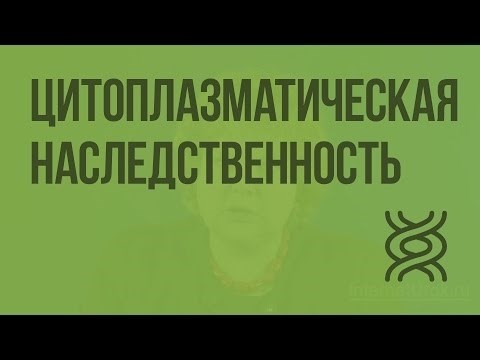 Что такое ядерное наследование?