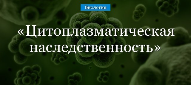 Какие структуры являются носителями, чем обеспечивается их наличие