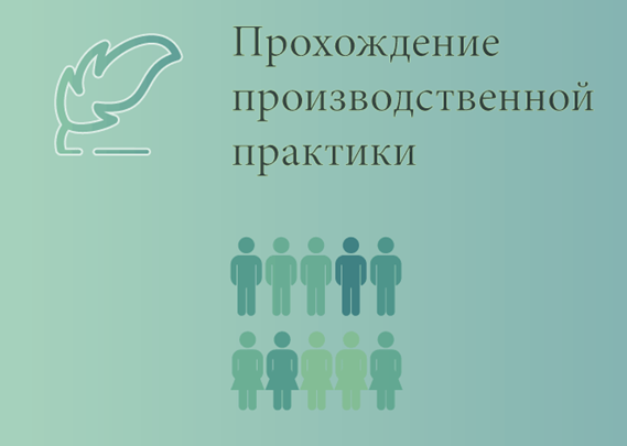 Требования к оформлению отчета по производственной практике