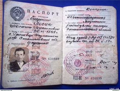 В каком году произошла смена советских паспортов на российские?