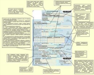 Поиск на официальном сайте ФСС 