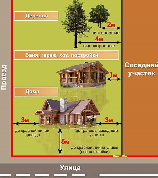 На каком расстоянии сажать дерево от дома