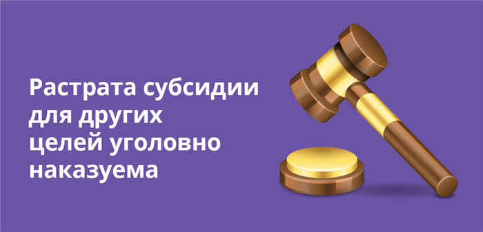 Кому будет предоставлена государственная поддержка?